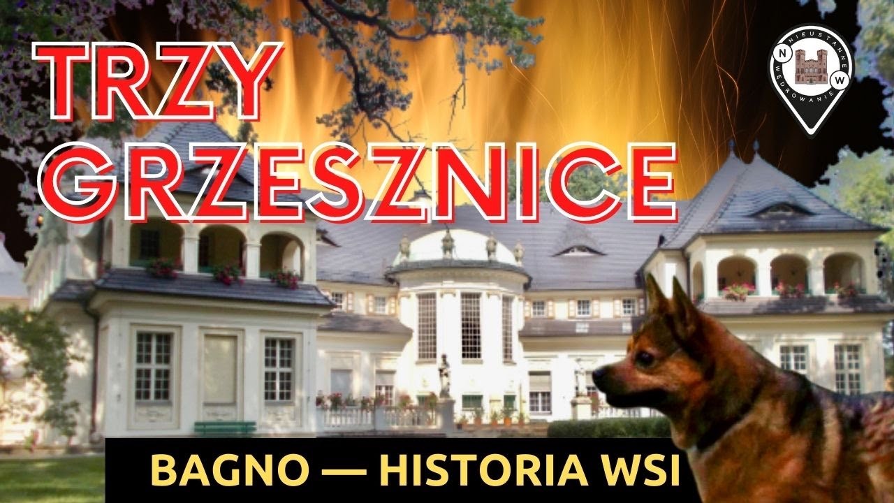 TRZY GRZESZNICE w średniowiecznym zamku i lipy rosnące do góry korzeniami | Historia Bagna