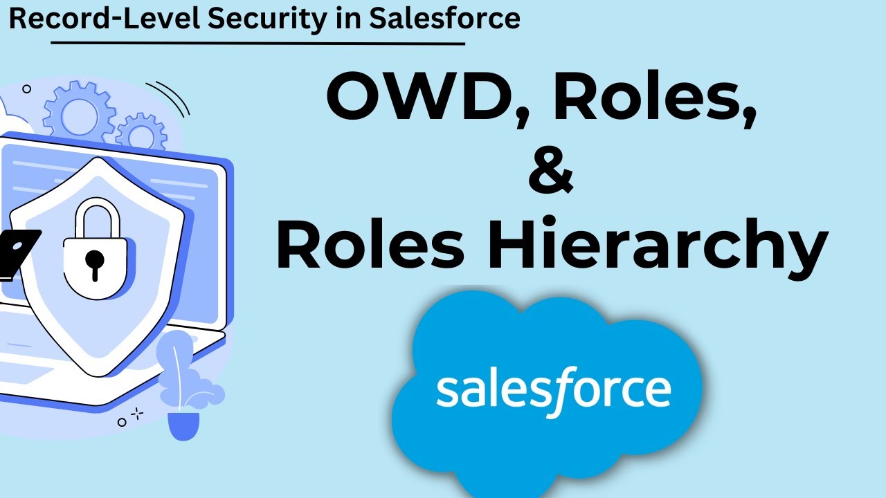 Record Level Security in Salesforce | Organization-Wide Default (OWD), Roles in Salesforce