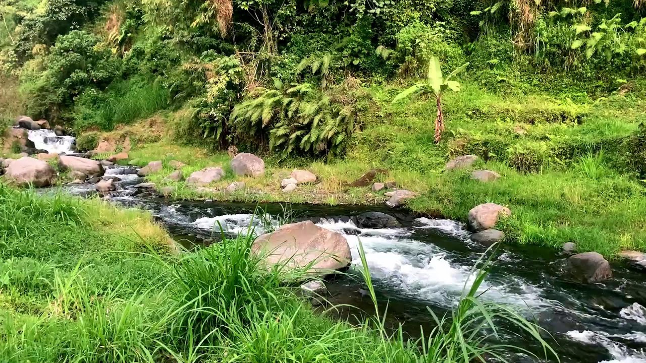 Deep Nature Sounds Vibes | For Brain Power & Emotional Balance