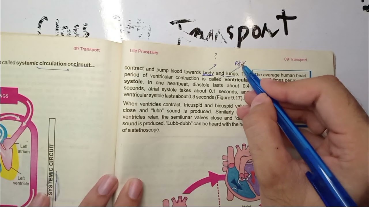 Pulmonary and Systemic circulation  | heartbeat | Pulse and Heart rate | 9th class Biology chapter 9