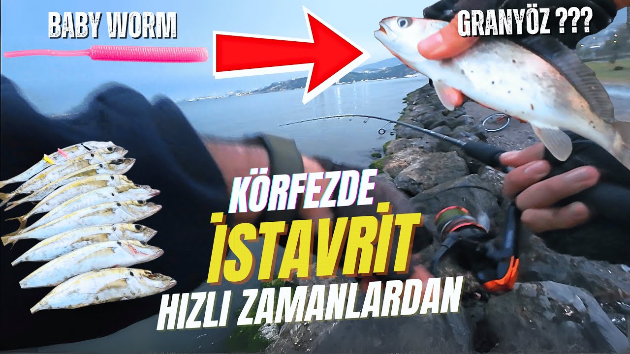Körfezde LRF İle Keyifli İstavrit Avı 🎣 | Kanalın İlk Videosu! #lrf #istavrit #granyöz #izmir