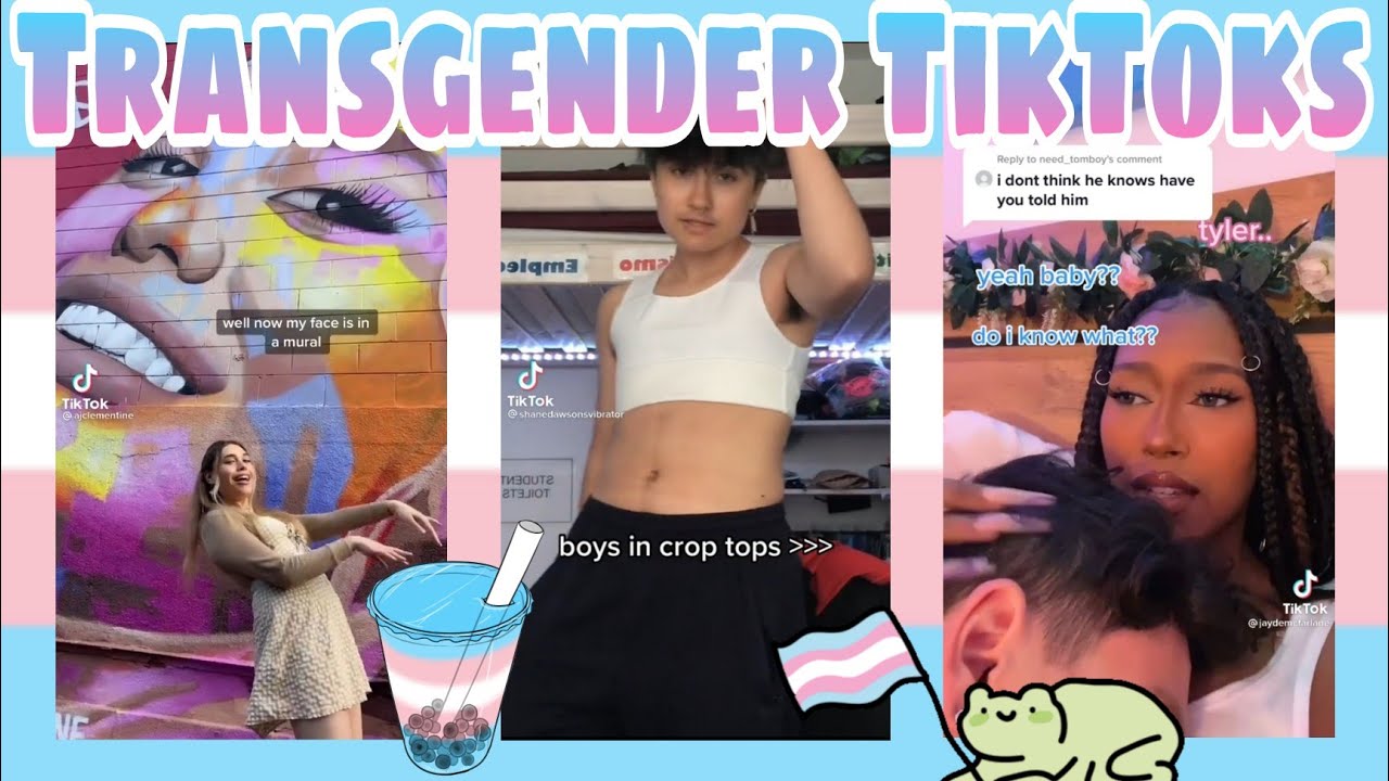 Transgender Tiktoks part 2 (ftm and mtf)