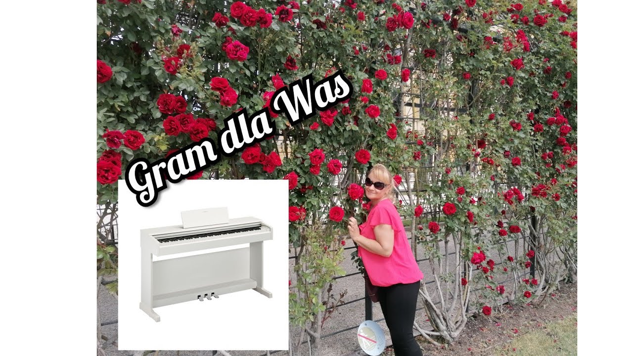 Polka i Turek |Gram dla Was  raz jeszcze 🇵🇱moja muzyka |Mieszanka polsko-turecka