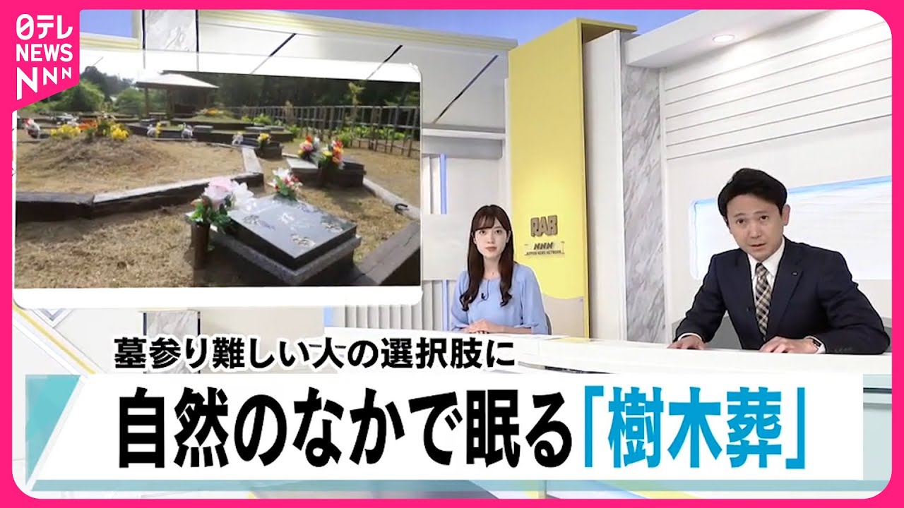 【新たな供養】樹木を墓石代わりに  自然に囲まれ眠る