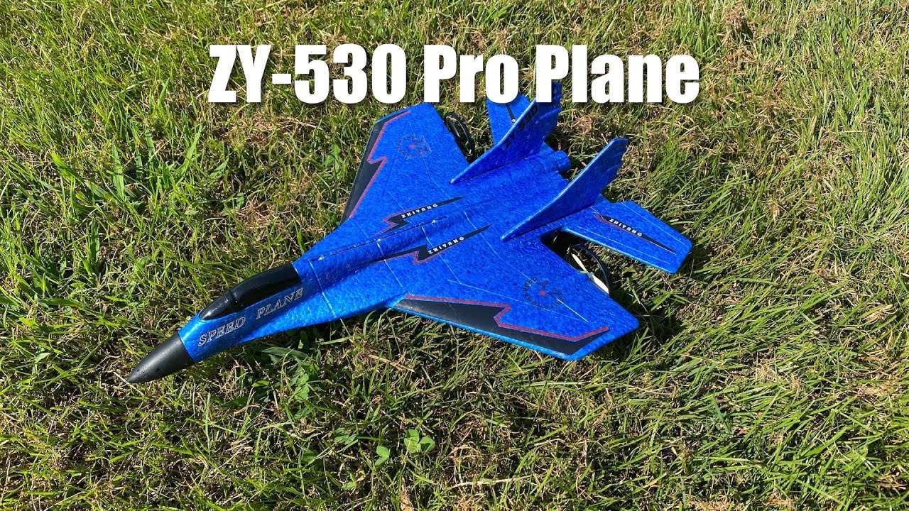 An absolute beginner RC plane.  Too Much fun! ZY 530 Pro RC Airplanes w/ Smart Balance System