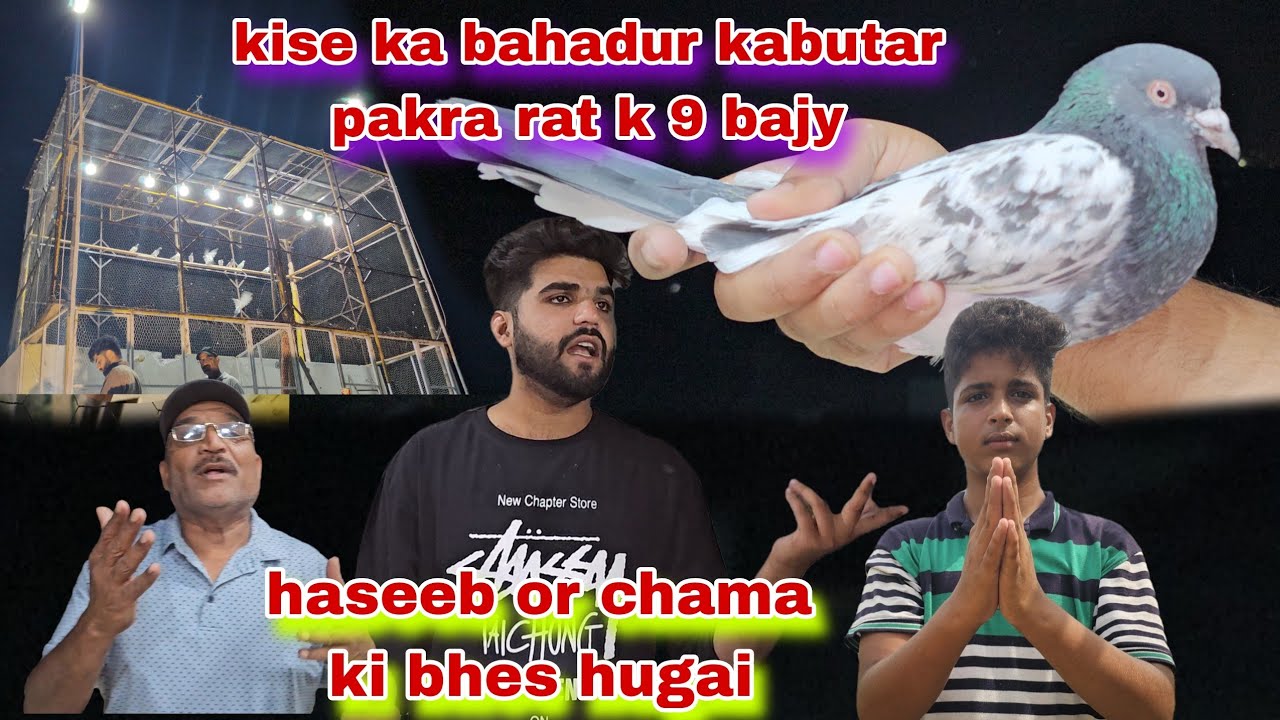 Haseb ny raat k 9 bajy kabutar pakra kise ka bahadur😯chama or haseb ki larai hogai waja kya bhani