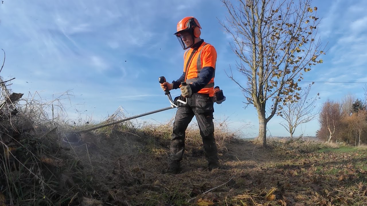 Preparing Gardens for Winter: SATISFYING Clean Ups and TRANSFORMATIONS