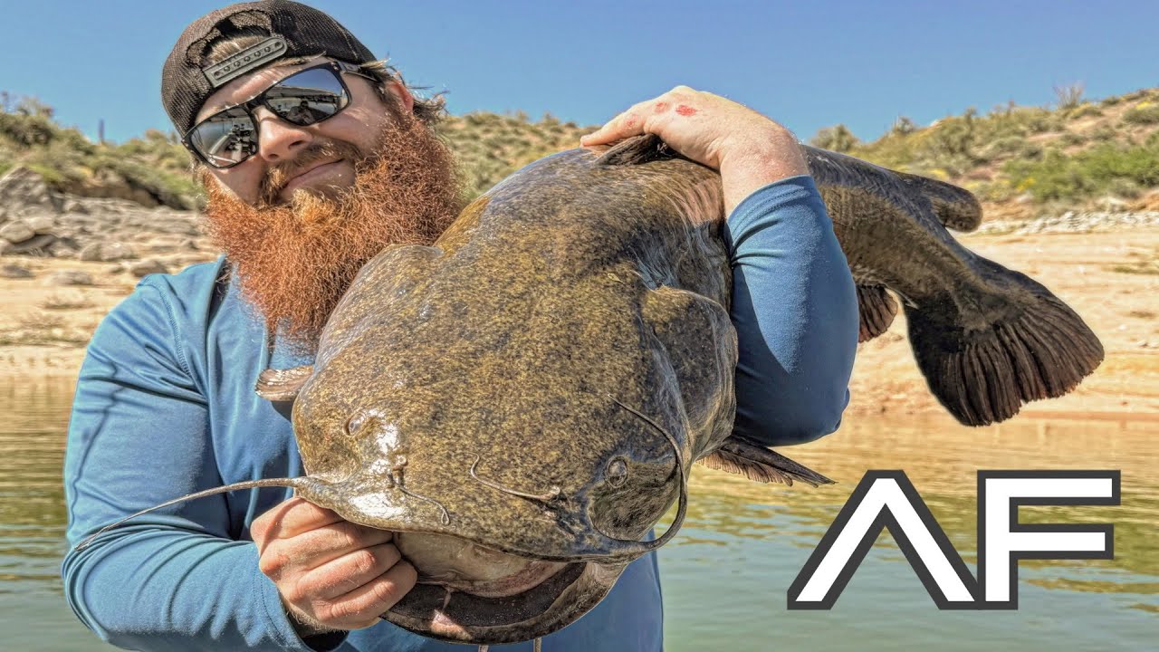 ARIZONA MONSTER FLATHEAD CATFISH!!! (Personal Best)