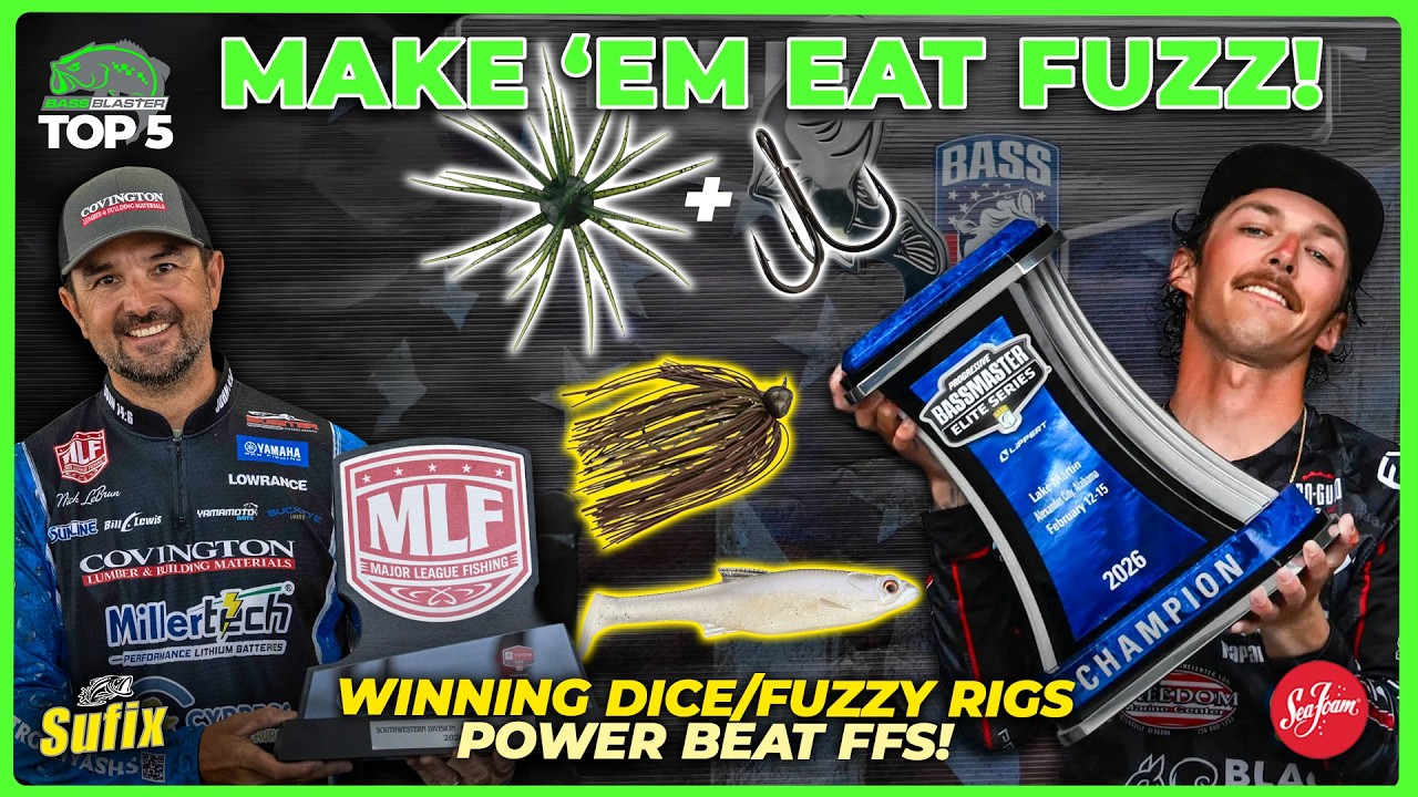 Winning fuzzy baits! Power beat FFS? Swimbait smalls! Top 5 of the Week in Bass Fishing