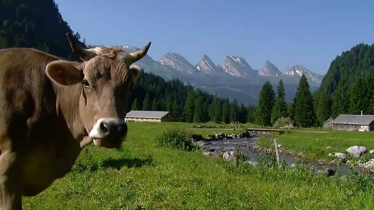 Switzerland Summer | HD
