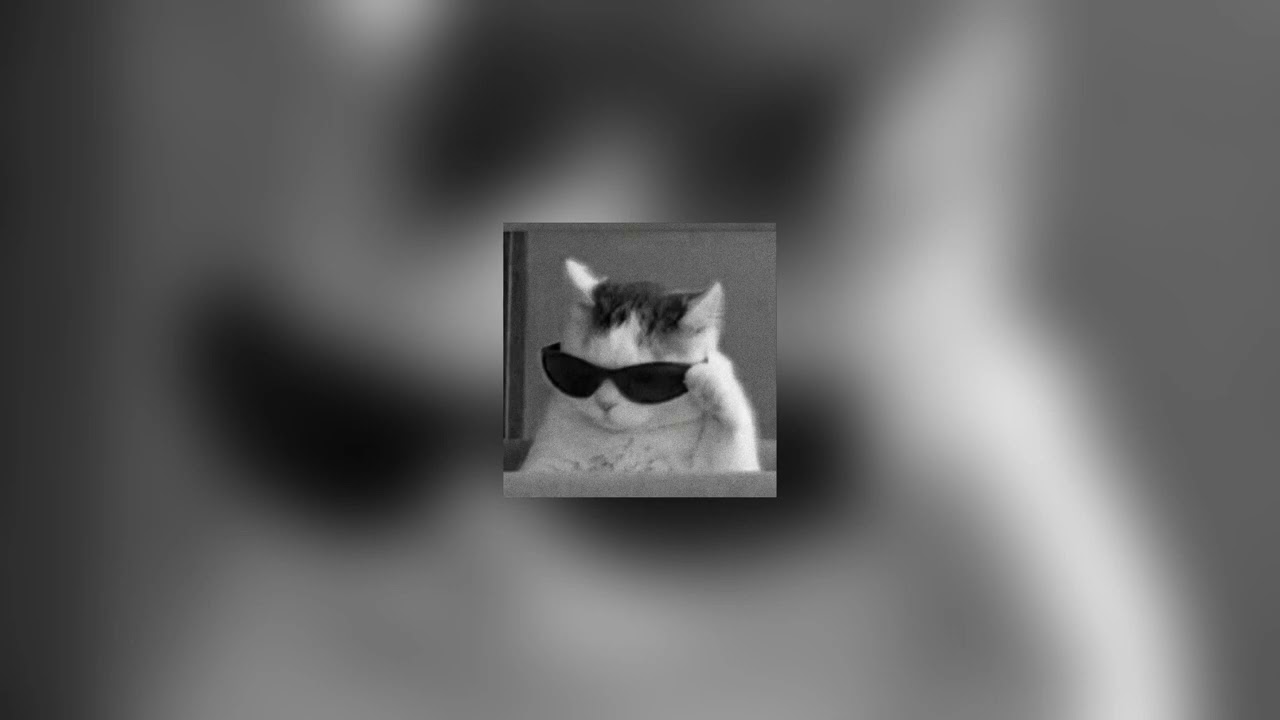 inquisitive - 不得不爱 ft. hannah ying (tiktok remix - hardstyle)