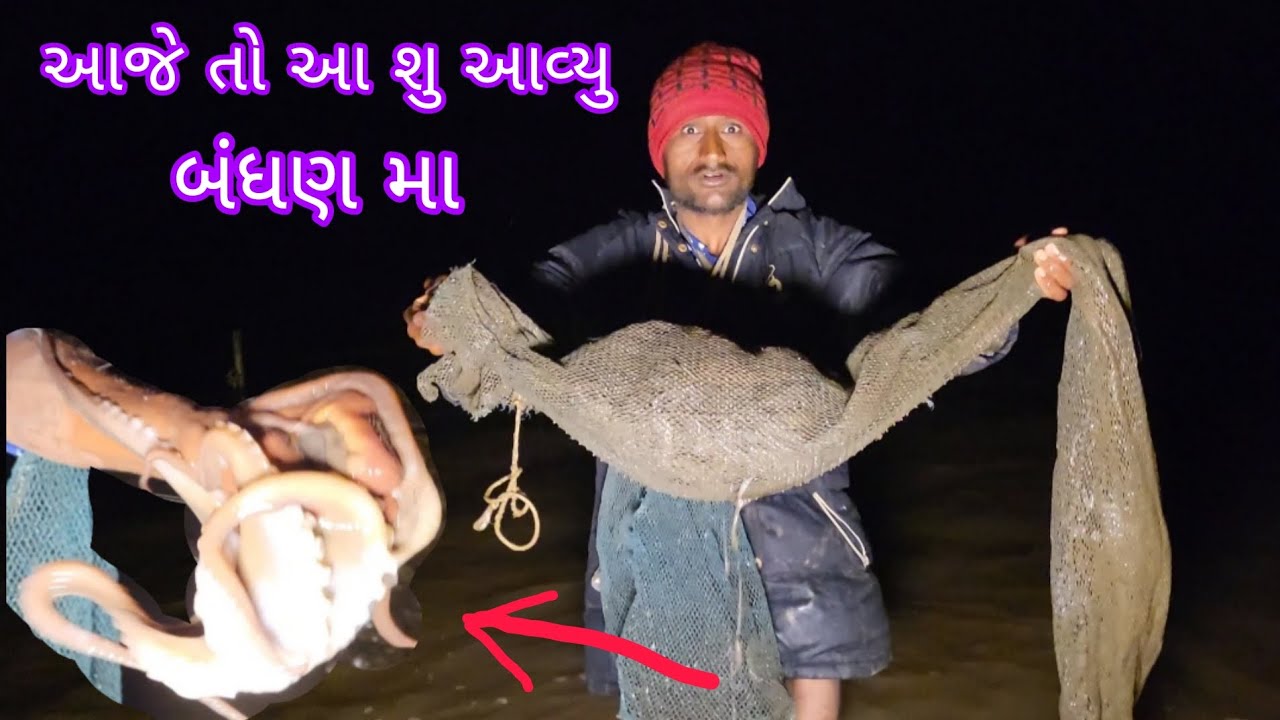 આજે તો રાત્રે ગયા બંધણે ને આવી કાઈક આવી અલગ મચ્છી#fish#bigfish#nonveg#દરીયાનારાજા