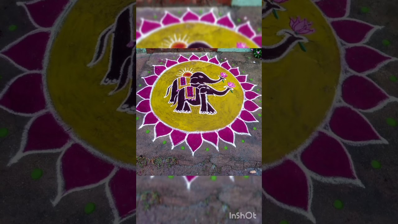 beautiful elephant rangoli /kolam #shorts #rangoli #elephant #latestkolam