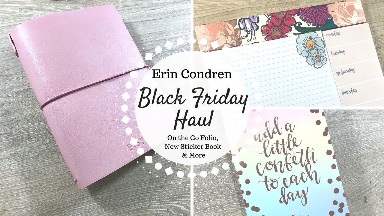 Erin Condren BLACK FRIDAY Haul | On the Go Folio, NEW Sticker Book & More |