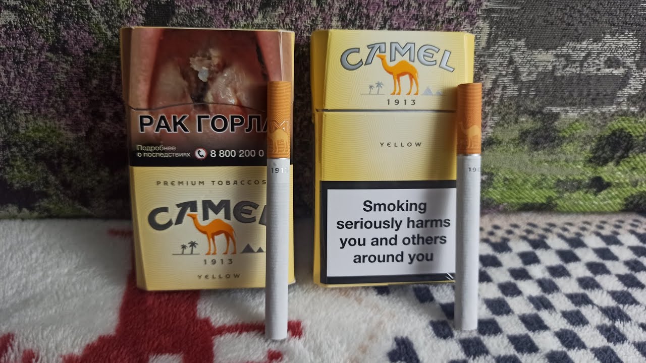 Camel Yellow Россия VS Германия. Что лучше?