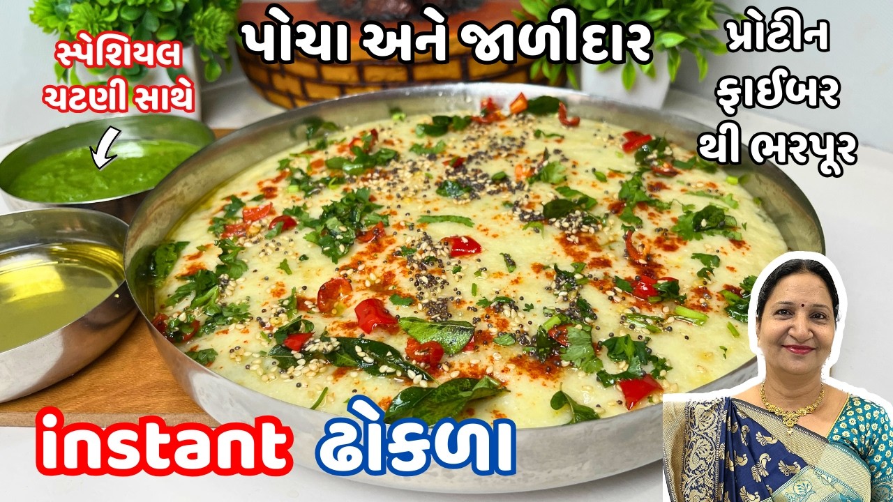 ના બેસન ના રવો કે ના આથો લેવો 20 મિનિટમાં બનાવો પ્રોટીન ફાઈબર થી ભરપૂર ઢોકળા | Instant Dhokla