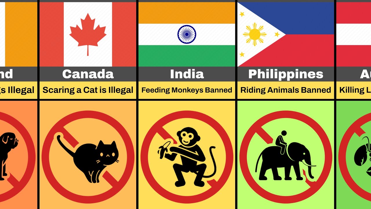 🐘 WEIRD Laws Around the World: Animal Edition
