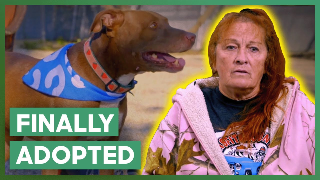 Dog Who Was Always Overlooked FINALLY Finds A Forever Home! | Pit Bulls & Parolees