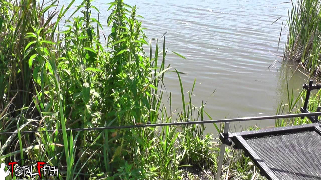 TotalFish TV - 2. rész - Rakósbotos felkészülés a Megyei Egyéni Horgászbajnokságra