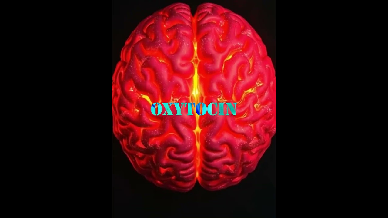 How Addiction Distorts the Brain’s Chemistry of Love 🧠