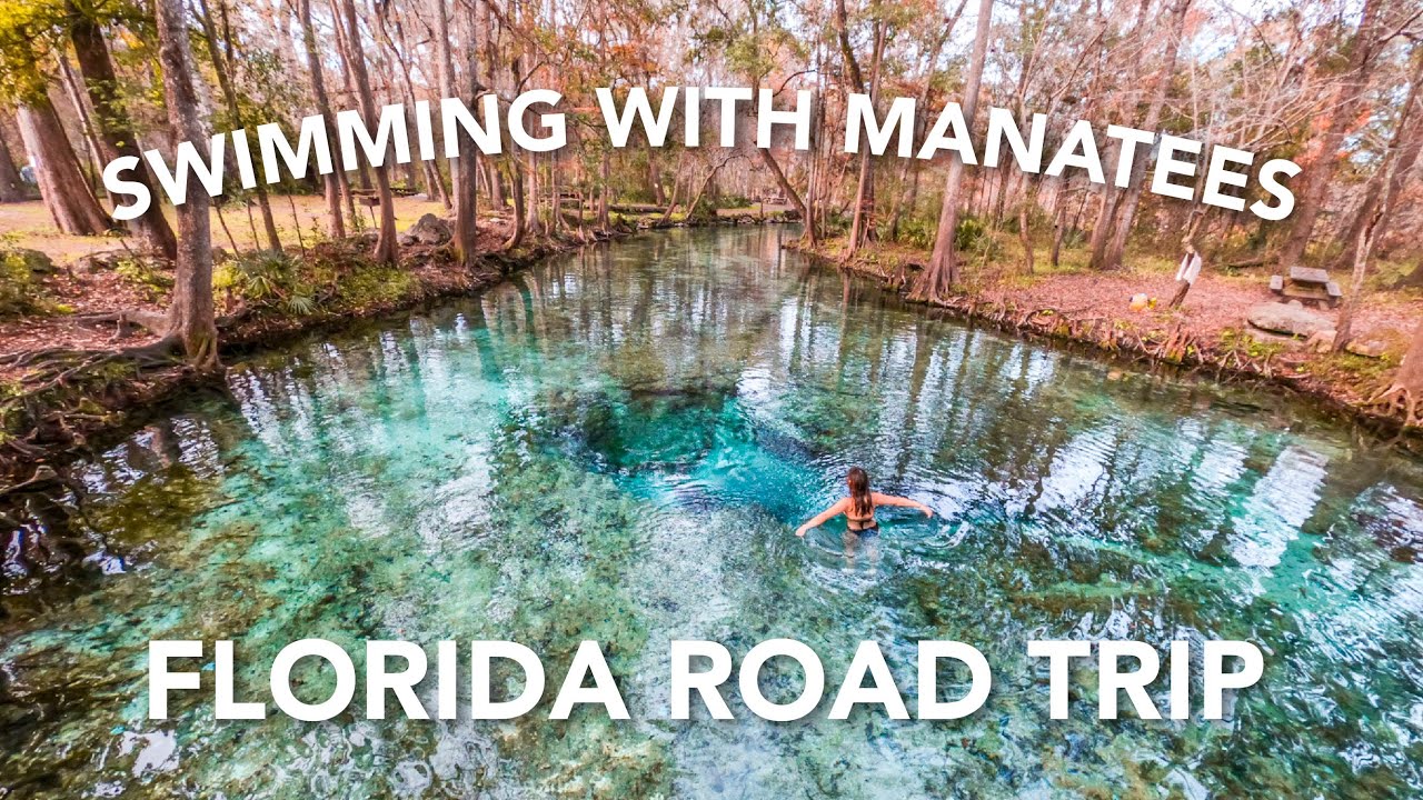 SWIMMING WITH MANATEES IN FLORIDA (Crystal River, Ginnie Springs, and Providence Canyon)