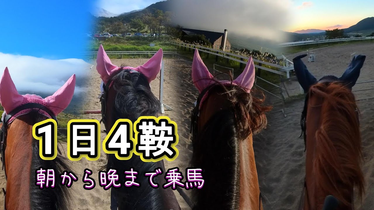 乗馬初心者【95日目】経路練習会×2 ＋ 障害練習×2 ｜ 朝から晩まで乗馬