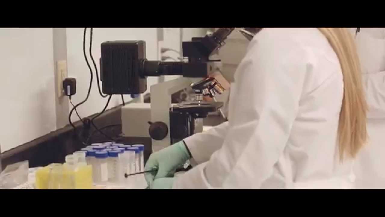 Ecovative Biomaterial R&D