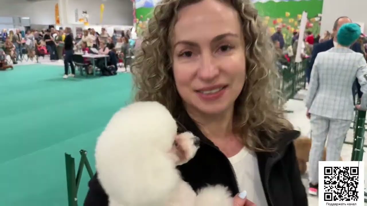 Моно Пудель, Москва, 06 апреля 24, судья Franki Leung/Франки Ланг, Китай