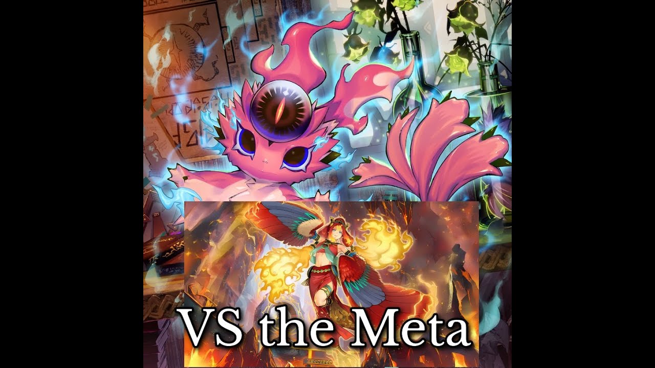 Yu-Gi-Oh! Snake-Eyes Vs Meta September 2025