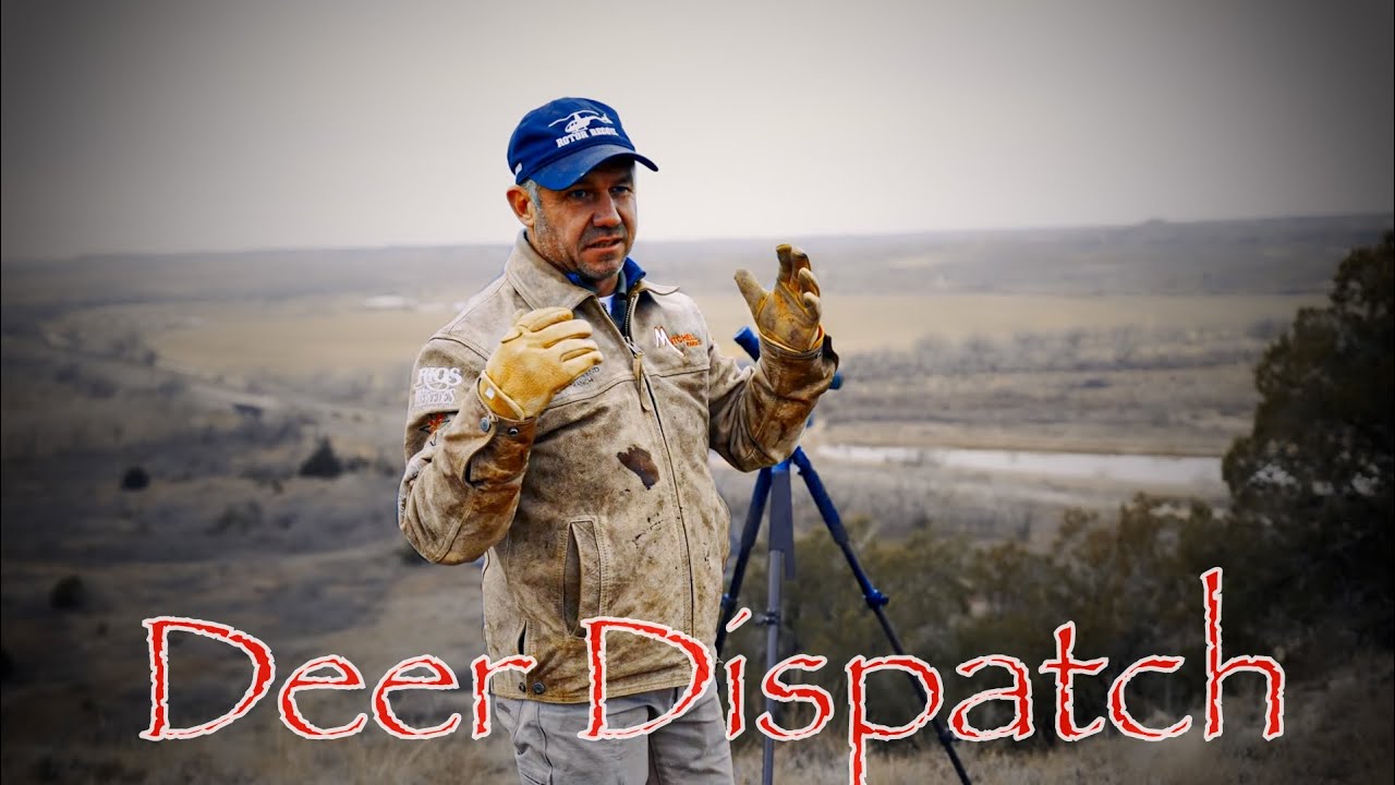 Deer/Ranch Mangement #ranch #texasdeer #hunting