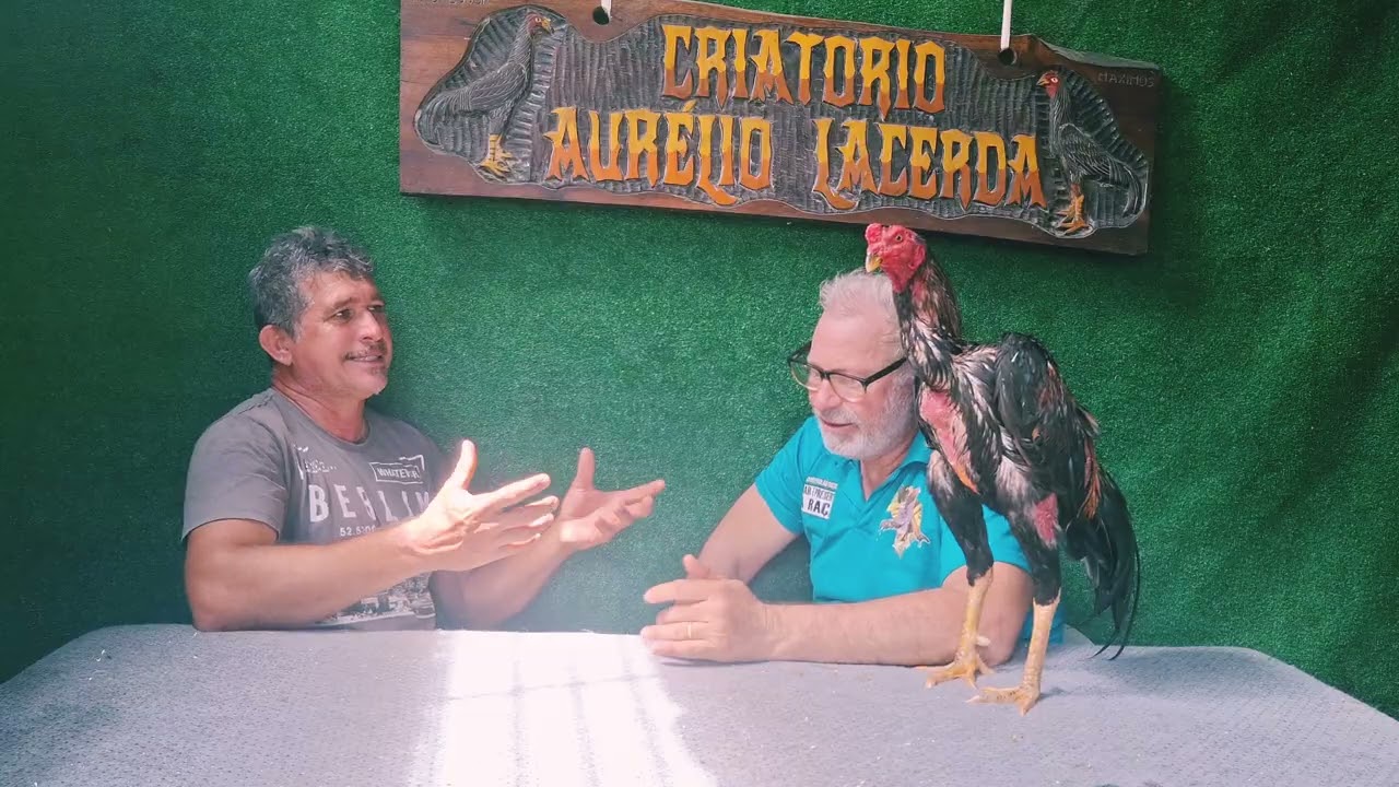 AURÉLIO LACERDA E ELIAS O REI DOS GALOS PODCAST RECIFE. 