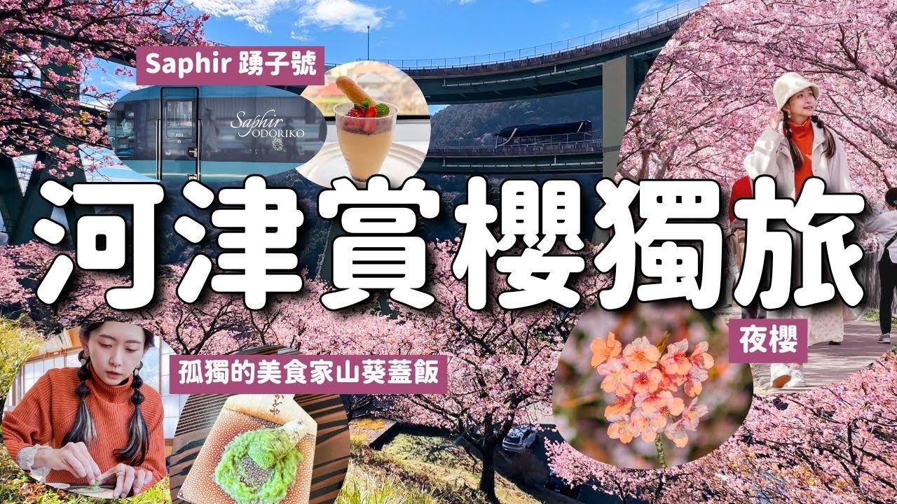 河津櫻滿開！已5訪的我還能怎麼玩？吃孤獨的美食家山葵蓋飯 住山上的溫泉旅館 探訪河津櫻秘境河津七瀑布高架橋 搭乘全席綠色車廂的Saphir踴子號｜兩天一夜靜岡河津一人獨旅 4K VLOG