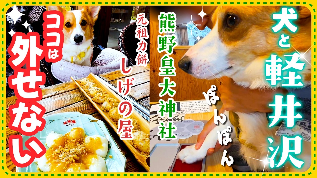 【犬連れ軽井沢なら外せない】ここならではの貴重体験！✨肉球手形・名物絶品グルメ！【熊野皇大神社・元祖力餅しげの屋】