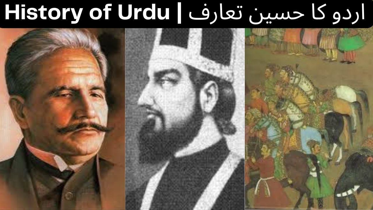 History of Urdu literature | Facts About Urdu Language #trending #trend #fact #urdu #urdupoetry