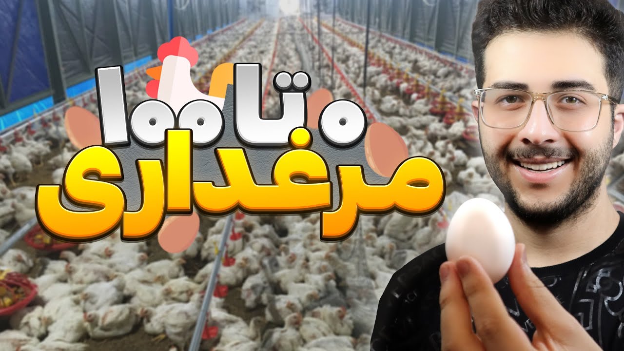 چجوری مرغداری بزنم؟ | 🐓 مراحل راه‌اندازی مرغداری