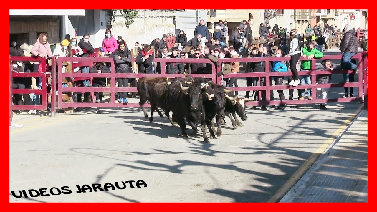 CAPARROSO  (NAVARRA)  MATINAL VACAS CALLE  (DOMINGO 23 ENERO 2022)  SANTOS ZAPATERIA