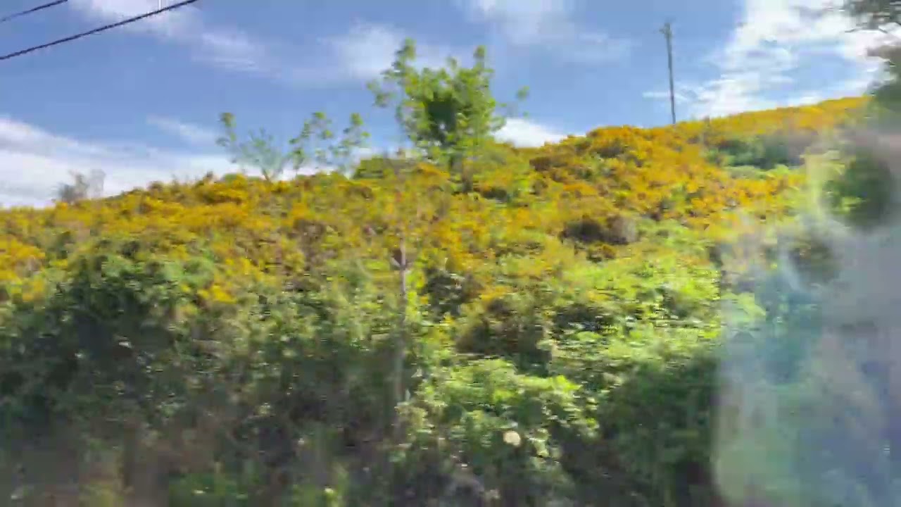 Driving Ireland 2024