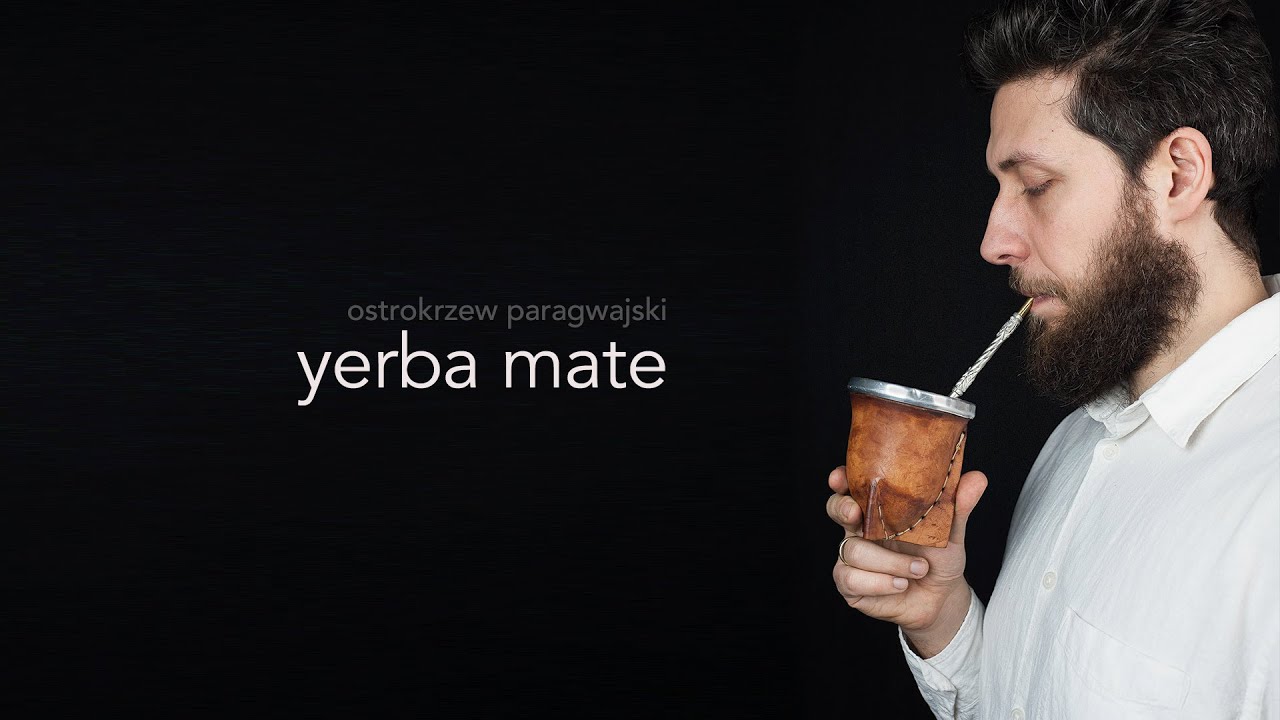 Yerba mate – kompletny poradnik dla początkujących: jak zacząć, co kupić, jak pić?