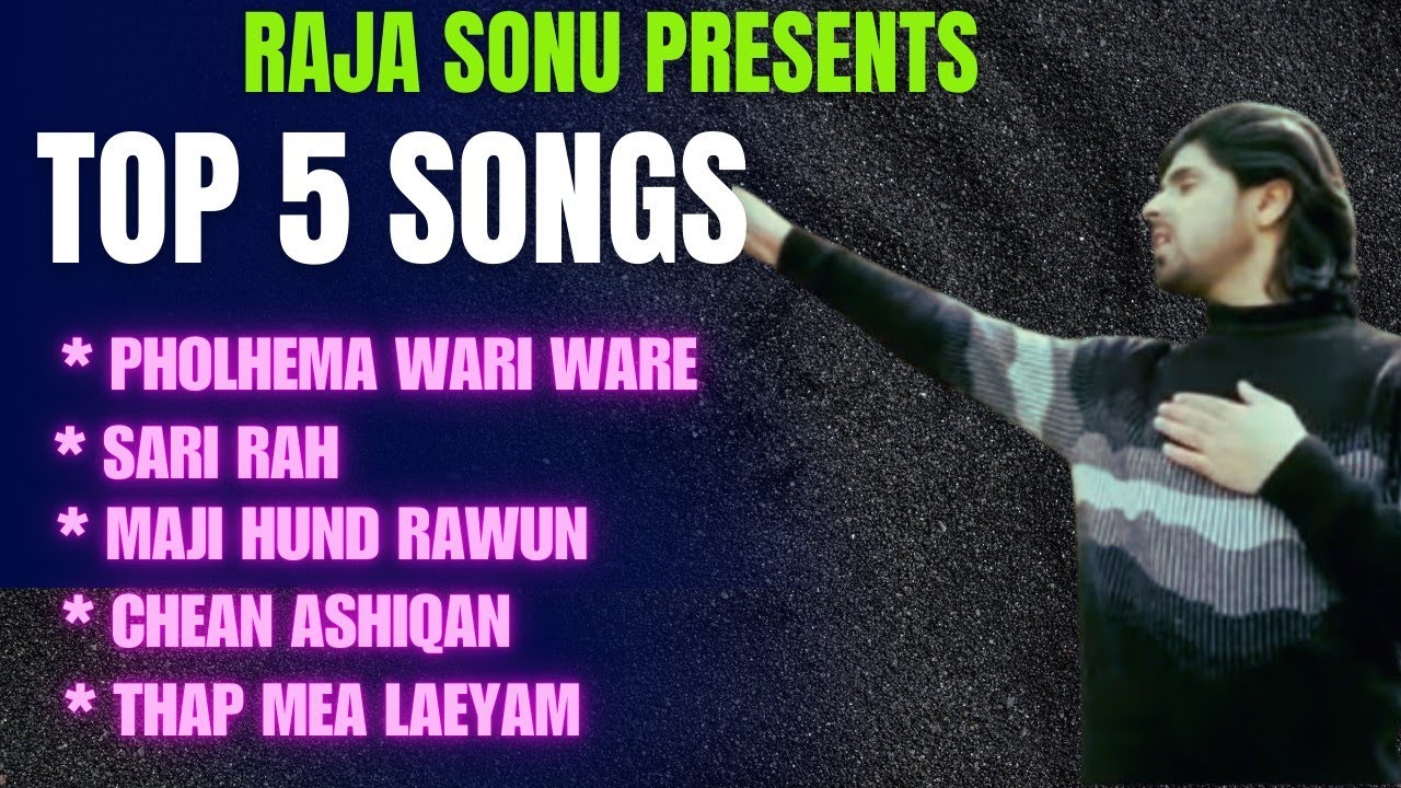 New Latest Top Trending 5 Kashmir Songs 2025 By Raja Sonu