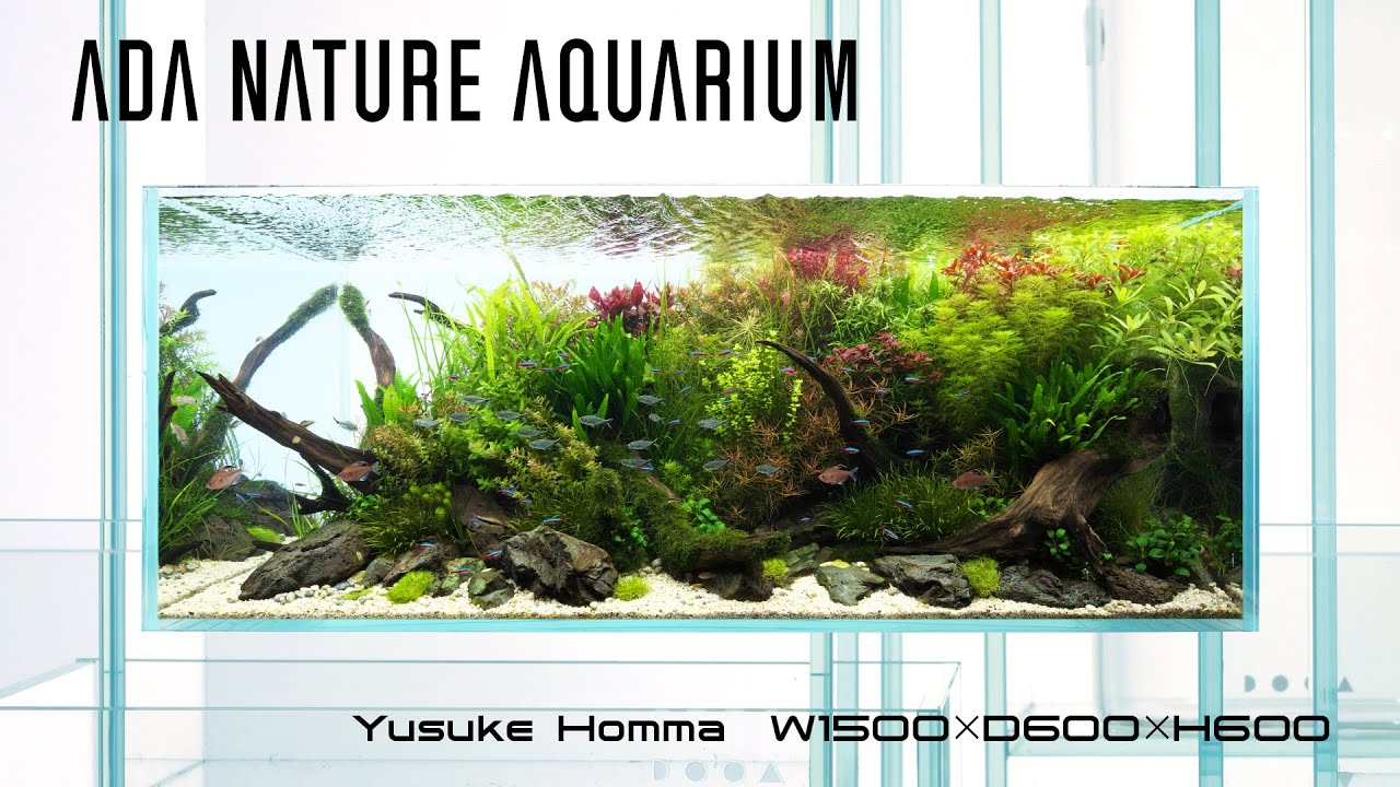 [ADAview] 水辺のパレット Waterside Palette  -W1500mm NatureAquarium Layout-【EN/JP Sub.】