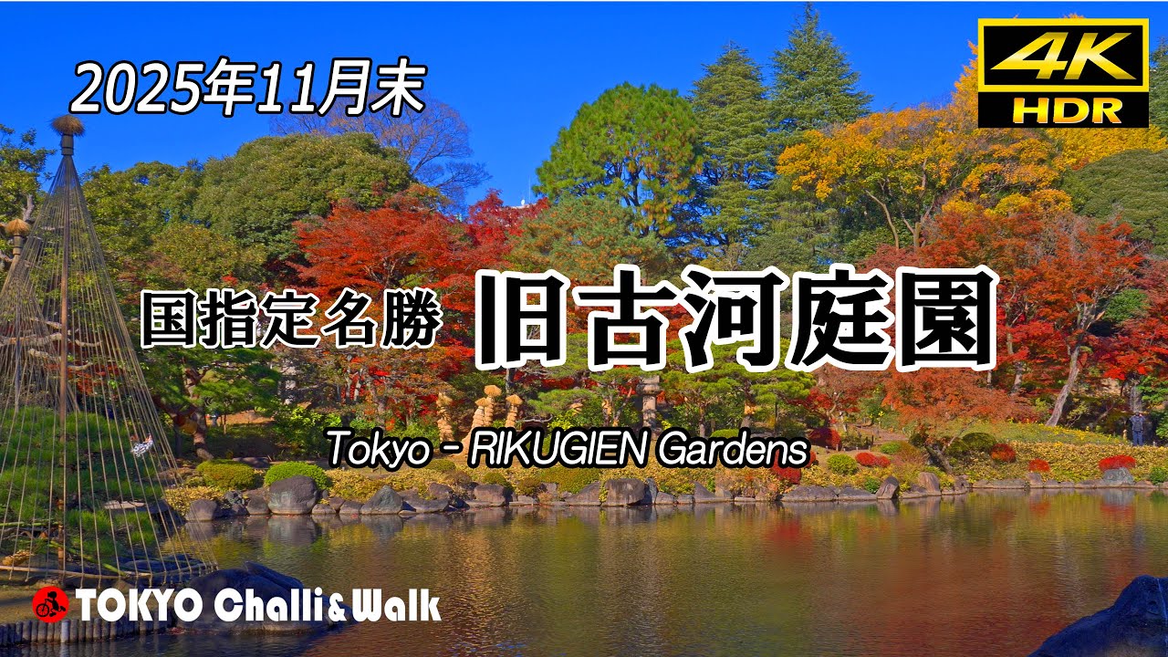 旧古河庭園の紅葉とバラ/4K HDR