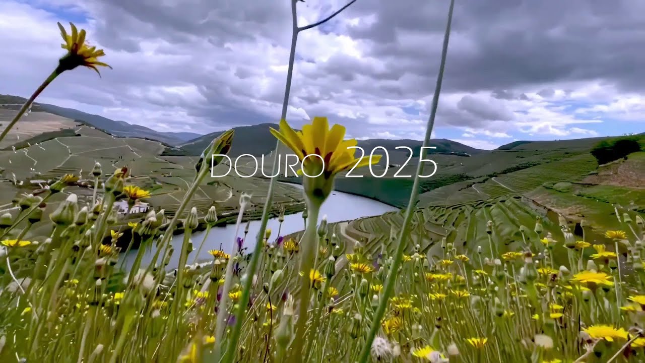 Douro 2025 - Rumbo a Oporto - pt1