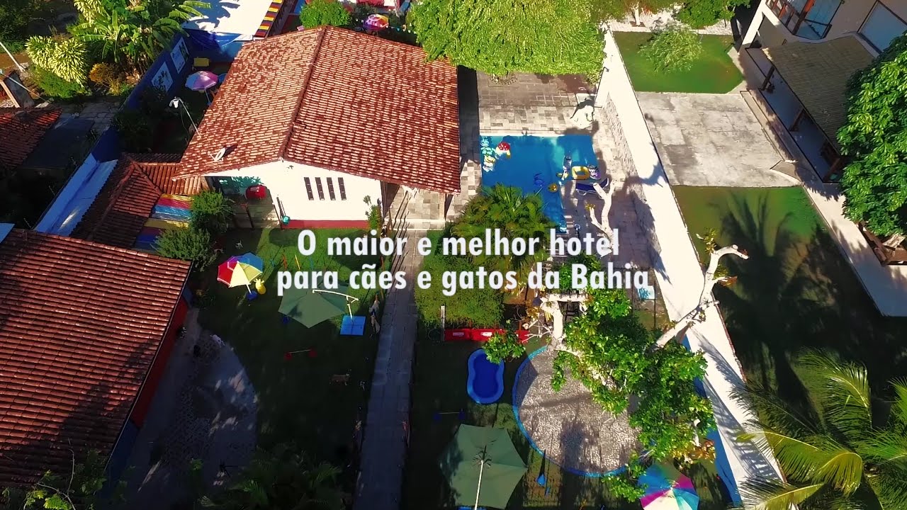 HOTEL PARA CÃES  SALVADOR BAHIA,  PADRÃO CINCO ESTRELAS