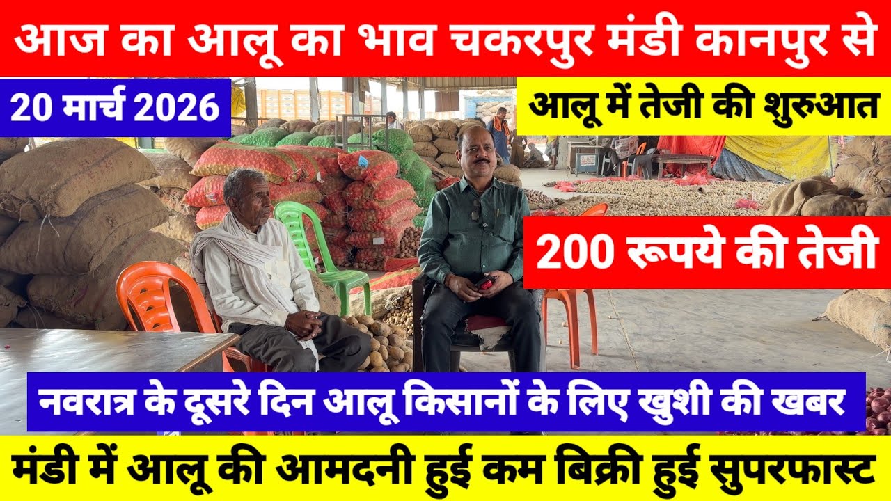20 March आज का आलू का भाव चकरपुर मंडी कानपुर से, नवरात्र के दूसरे दिन आलू किसानों के लिए खुशी की खबर