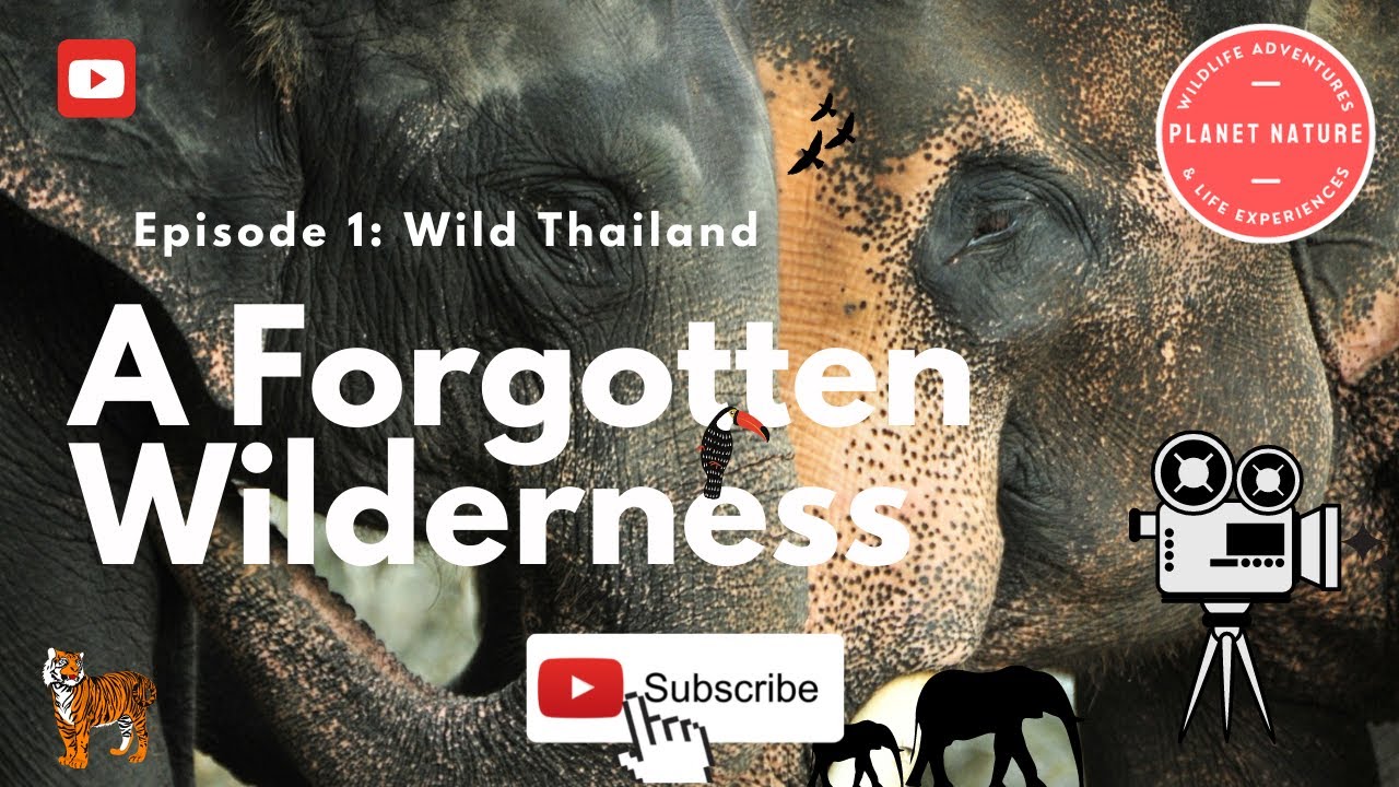 WILD THAILAND - Thailand Forgotten Wildlife Documentary