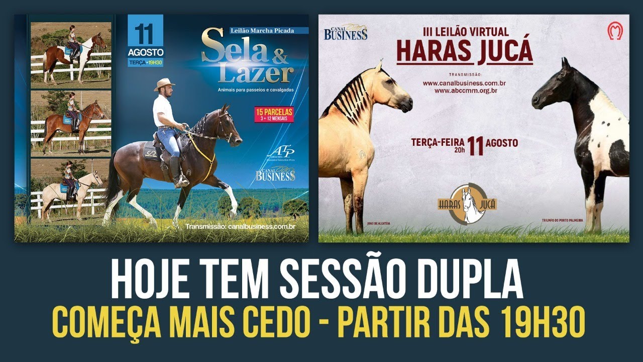 Leilão Marcha Picada Sela & Lazer / 3º Leilão Virtual Haras Jucá