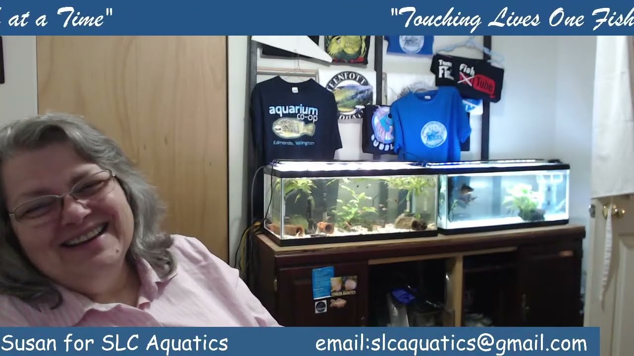Tuesday PM with Susan #fishfam Mom