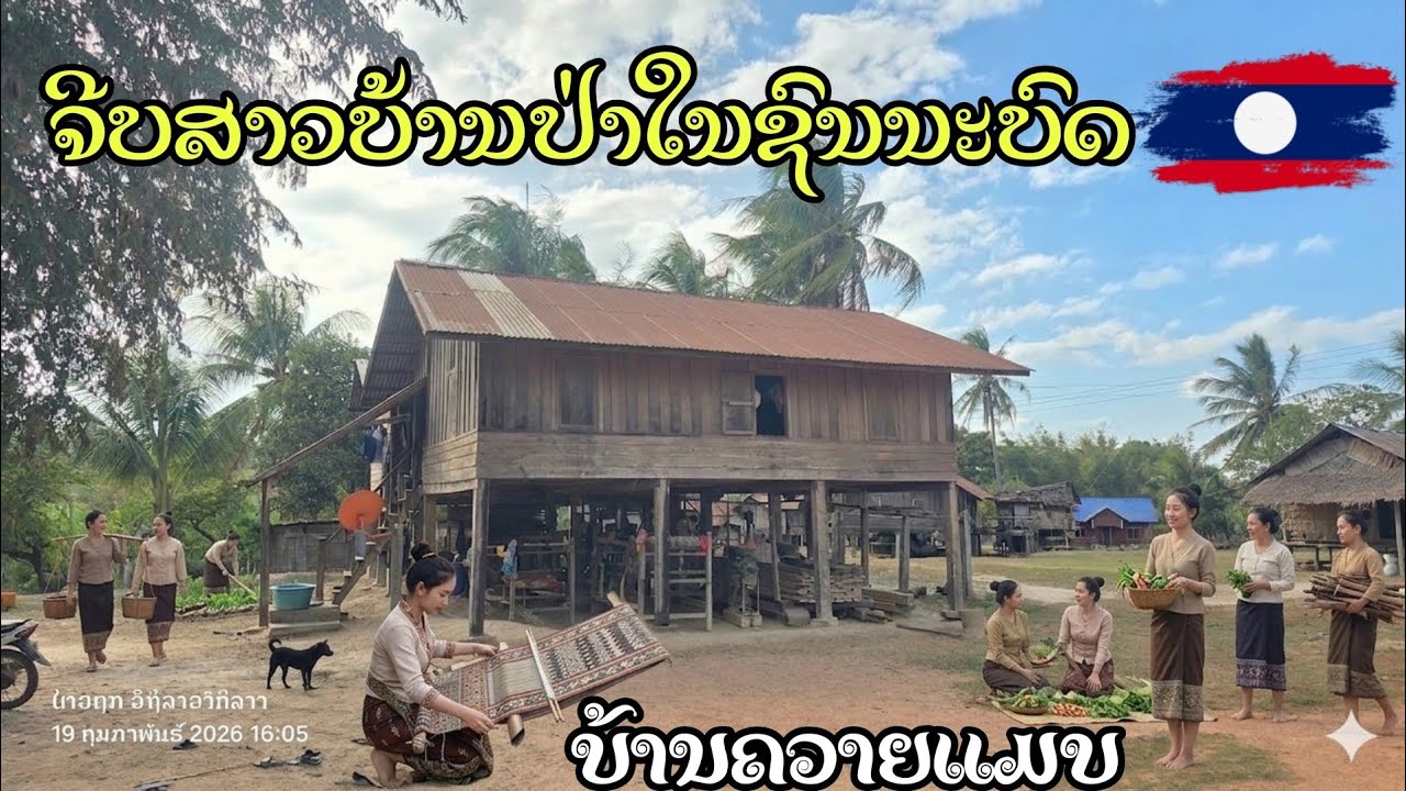 วันนี้สาวๆชนบทไปหาของป่า ช่วยหนุ่มๆขึ้นบ้านกินตำส้มที่บ้านน้องๆ