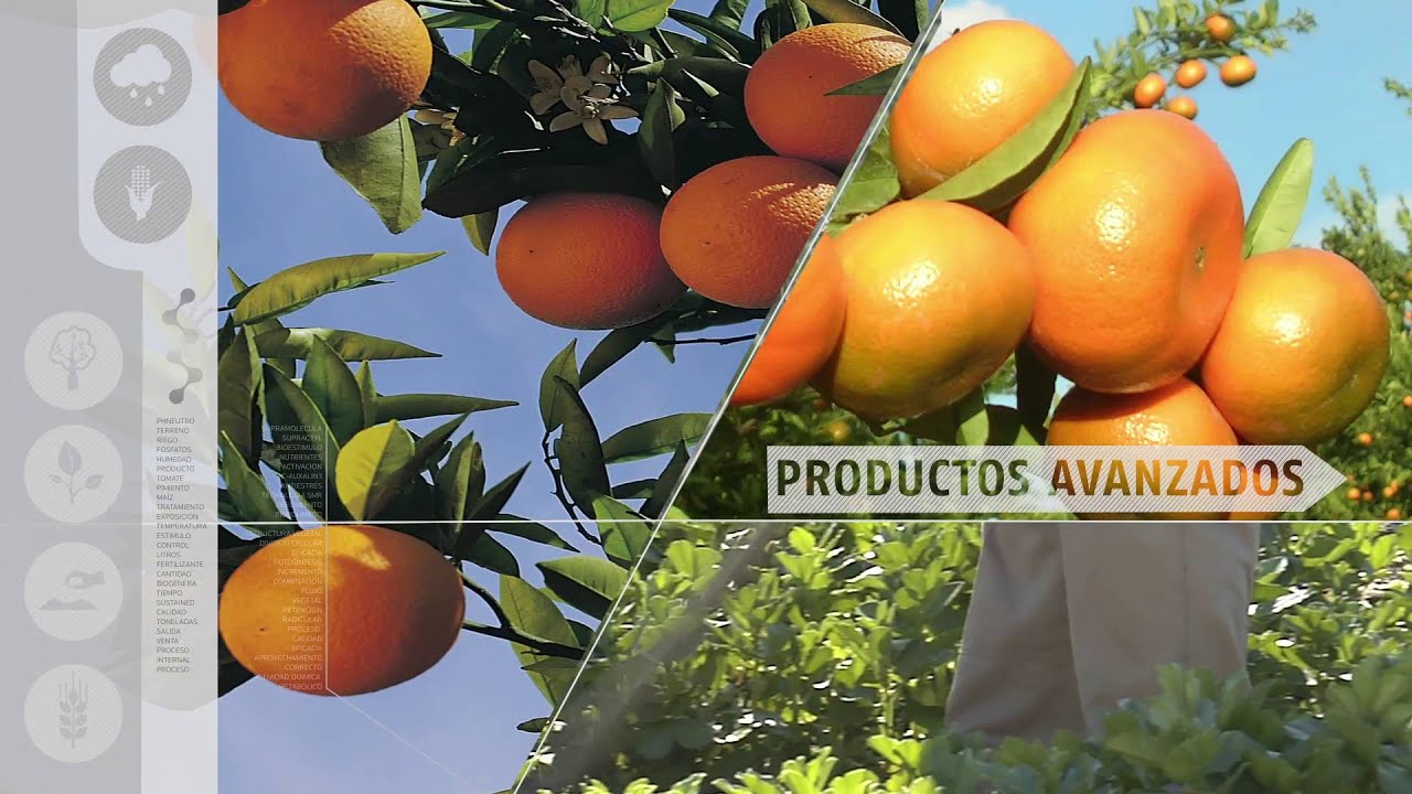 SUPRACTYL, BIOESTIMULANTE  REGENERATIVO