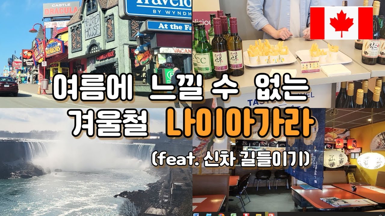 캐나다 토론토 브이로그, 토론토의 비싼 생활비ㅠㅠ, 겨울철 나이아가라, 토론토에서 막걸리 시음회.  해밀턴 Sushi ya, KOREAN WINE, TORONTO VLOG